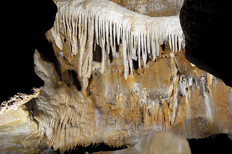 Koněpruské jeskyně - Varhany