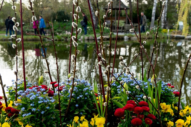 Biotop Teich erleben ©pressefotoLACKINGER, Kittenberger Erlebnisgärten