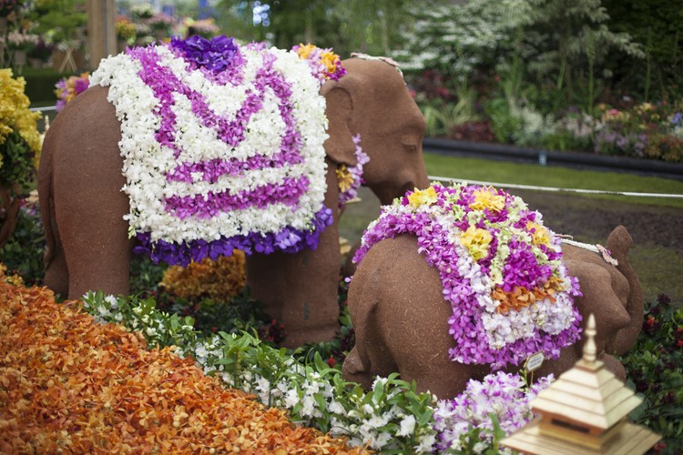 KM TRAVEL Tulln  - květinové dekorace