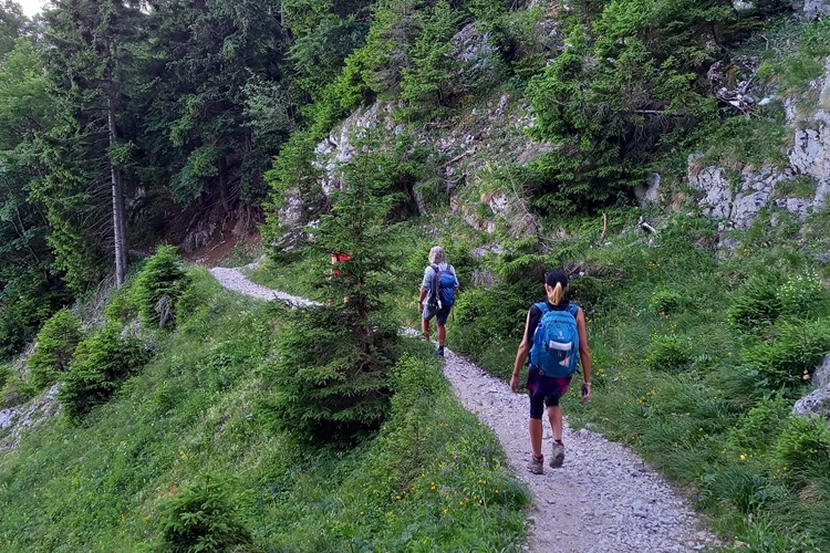 11 km pěší turistiky, pohoří Raxalpe, Rakousko, KM TRAVEL