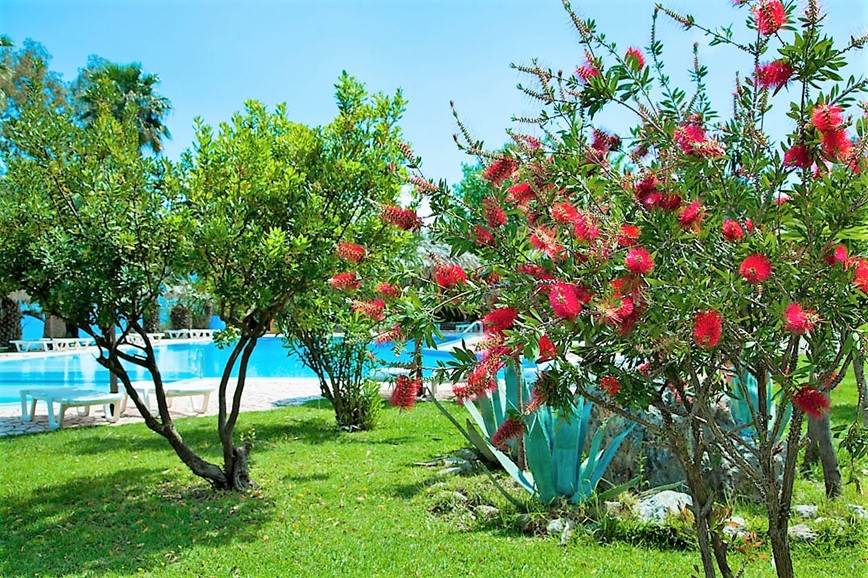 KM TRAVEL Ag. Ioannis Peristeron Corfu Senses Resort zahrada