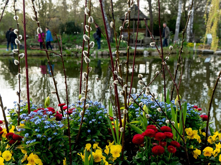 Biotop Teich erleben ©pressefotoLACKINGER, Kittenberger Erlebnisgärten